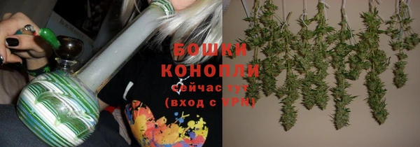 тгк Новозыбков