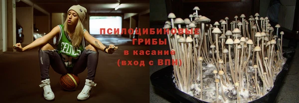 mdma Новодвинск