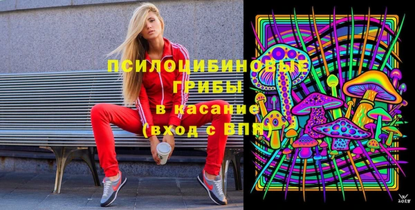 тгк Новозыбков
