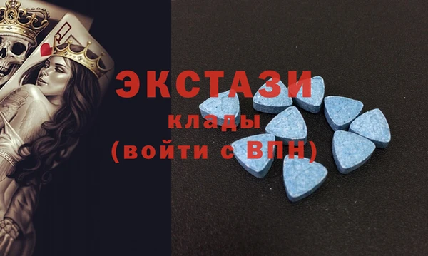 тгк Новозыбков