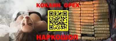 a pvp Аргун