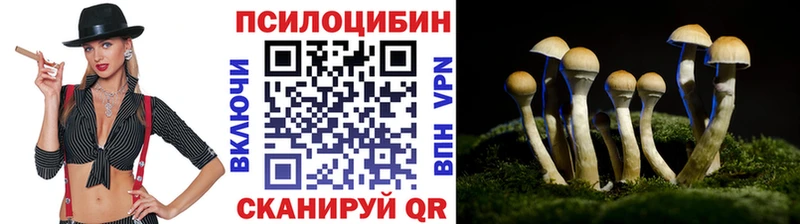 Галлюциногенные грибы мицелий  Балашиха 