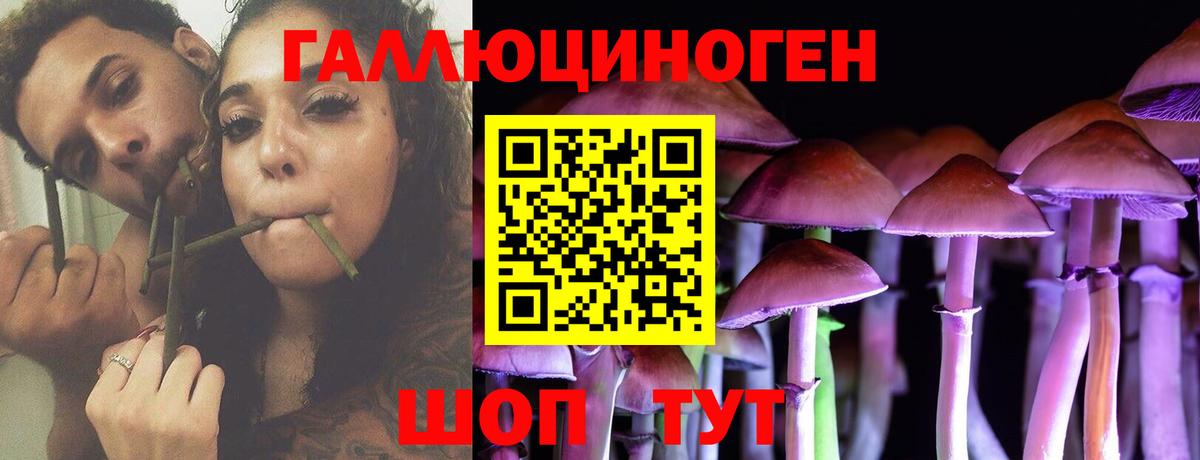 Галлюциногенные грибы Psilocybine cubensis Балашиха